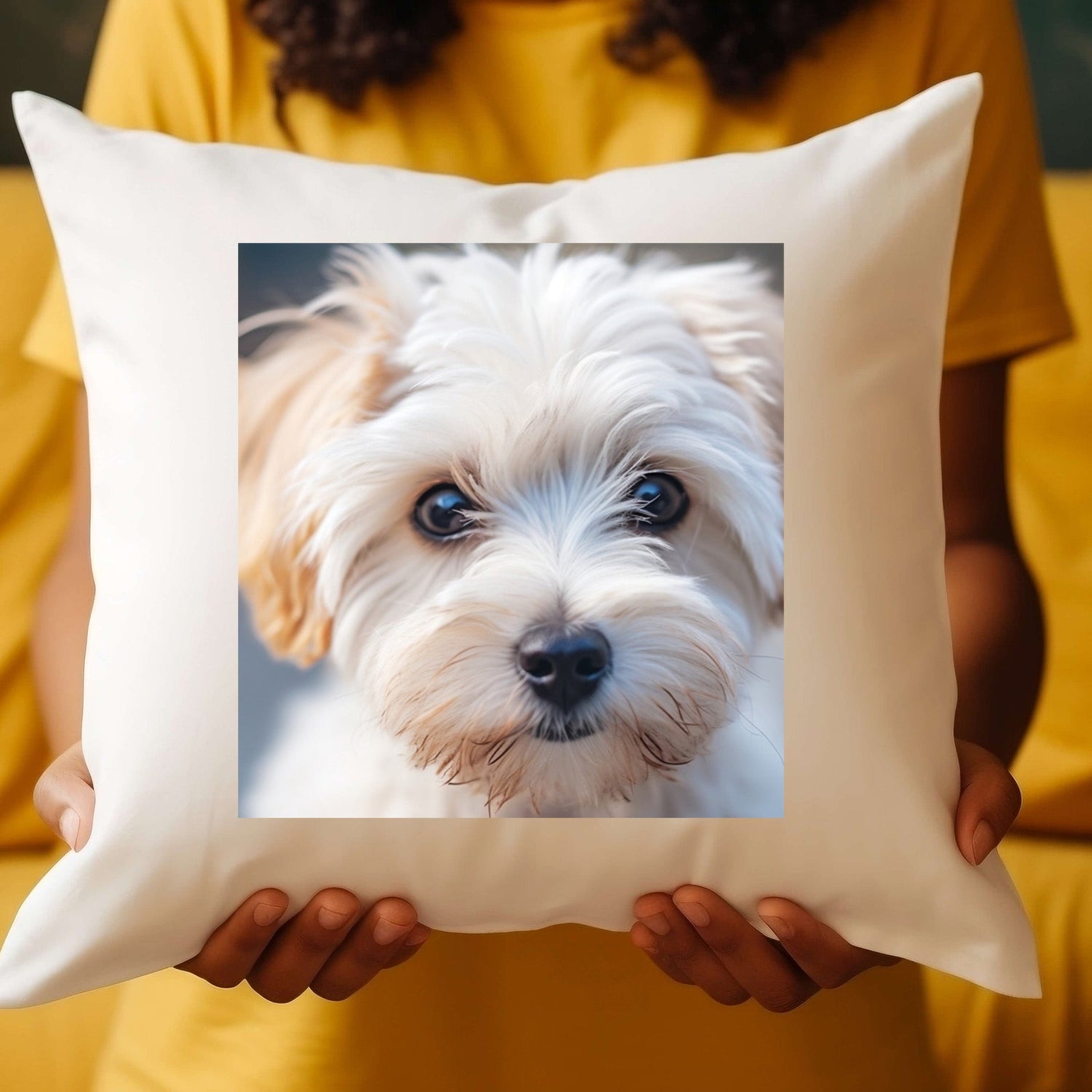 CUSHIONS