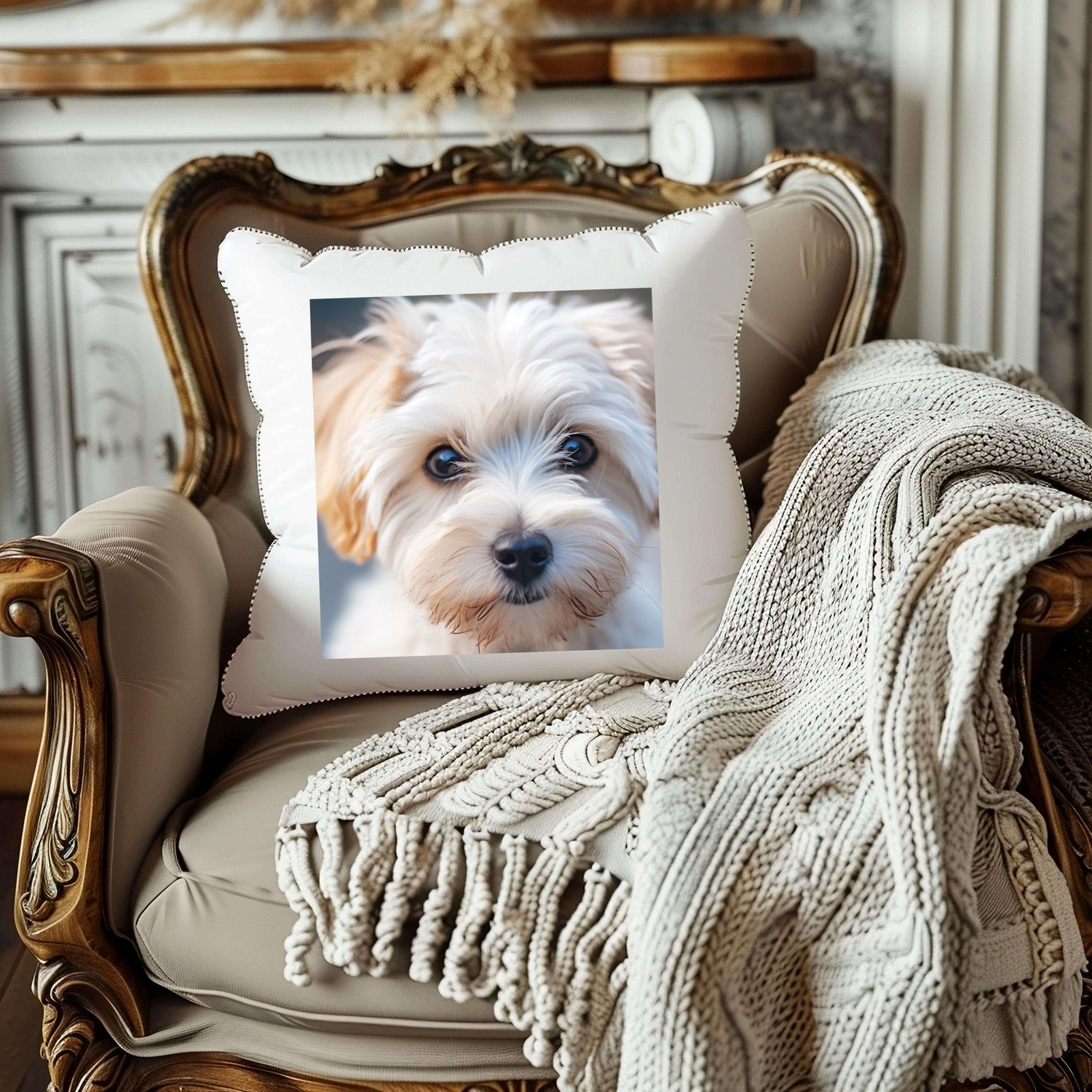 PET PRODUCTS