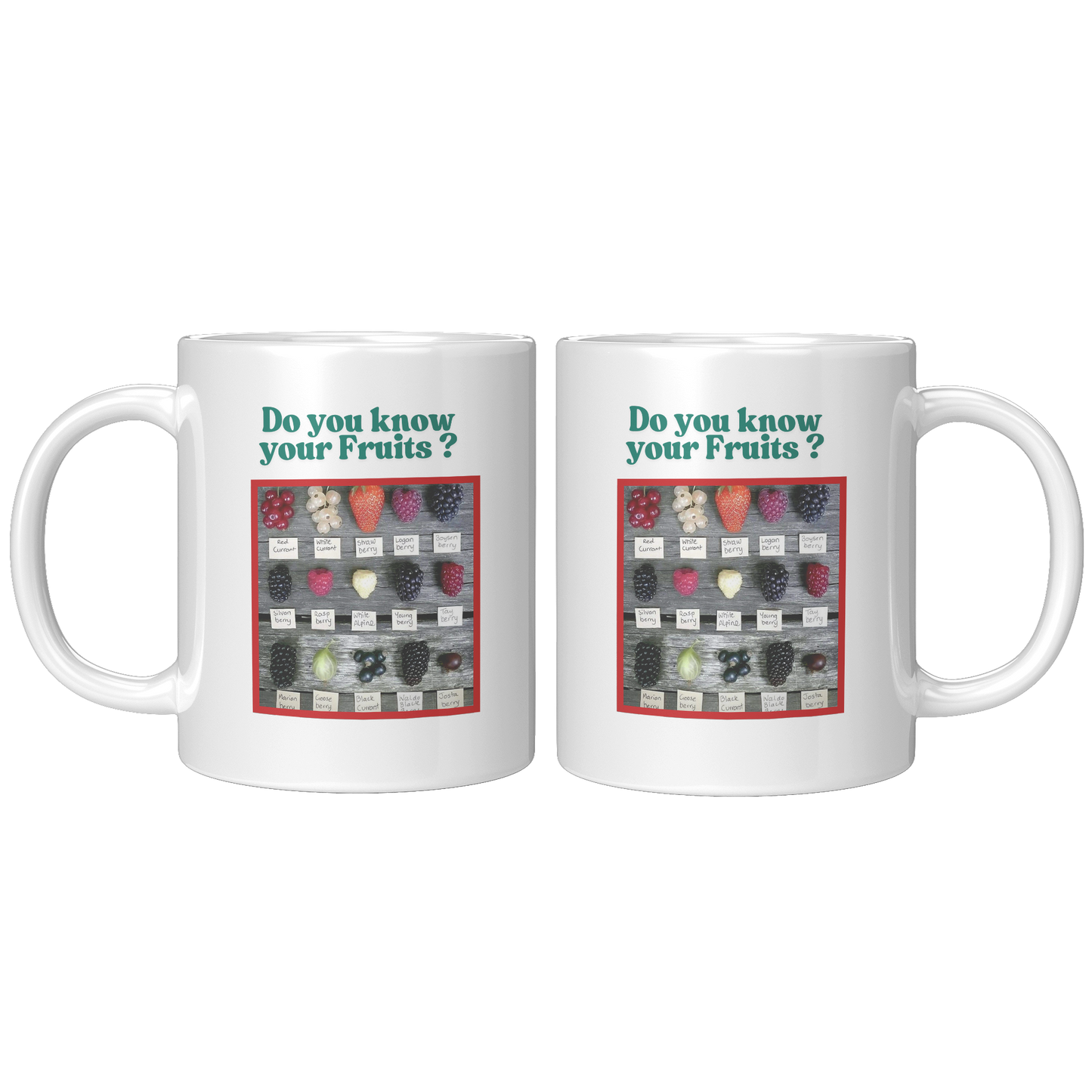 Do_you_know_your_Fruits_Mug_11ozwhite_Mockup.png