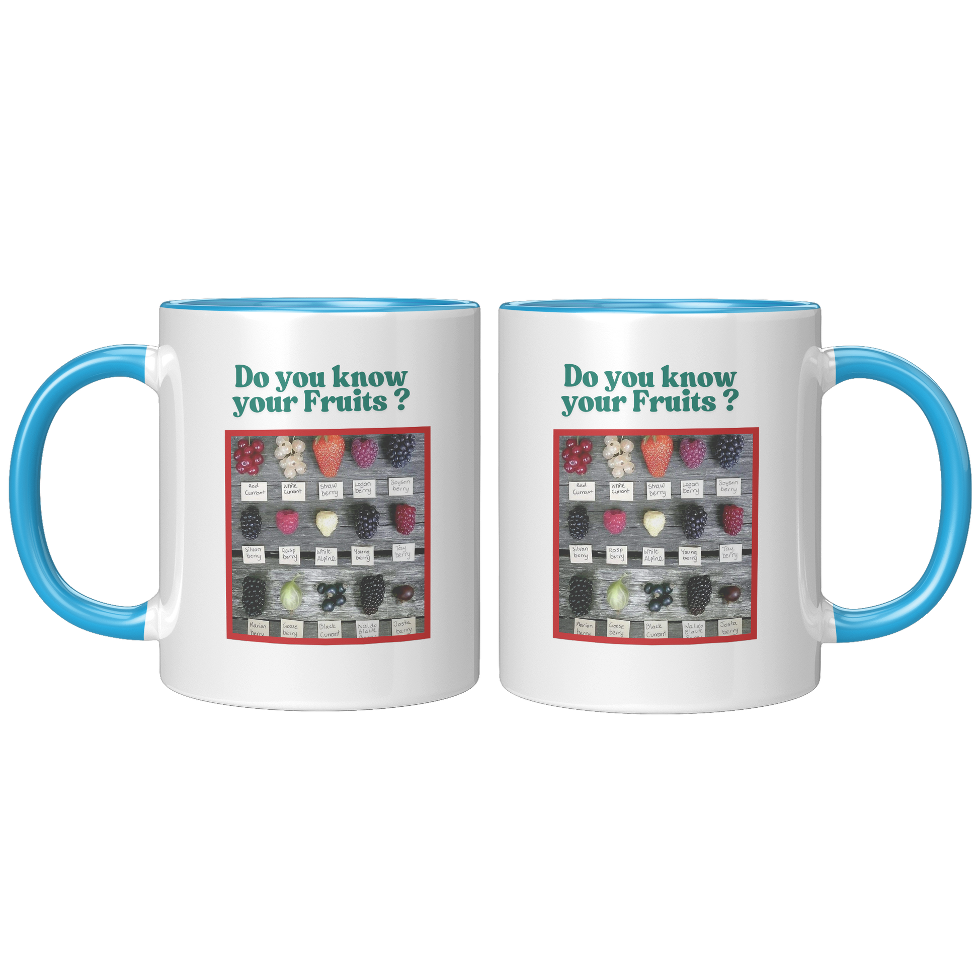Do_you_know_your_Fruits_Mug_FrontBack_Blue_Mockup.png