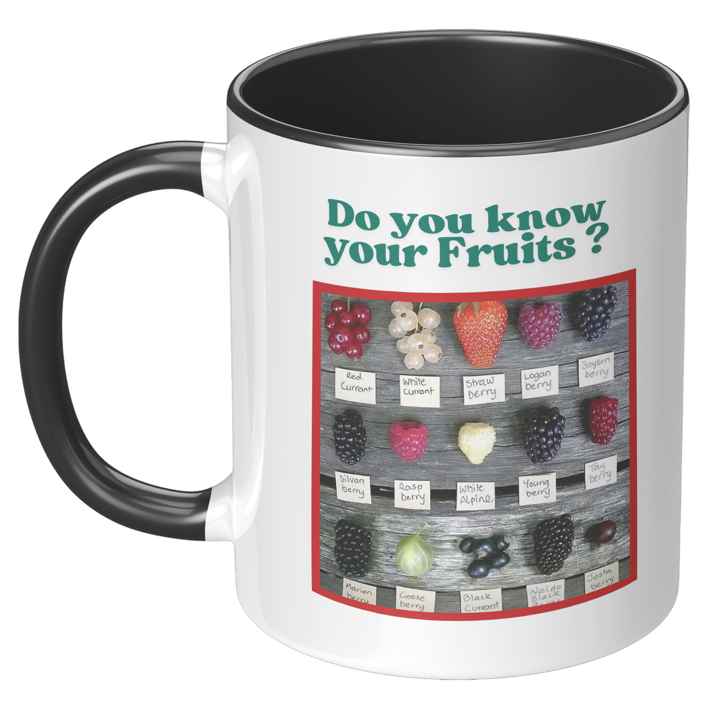 Do_you_know_your_Fruits_Mug_LH_Black_Mockup.png