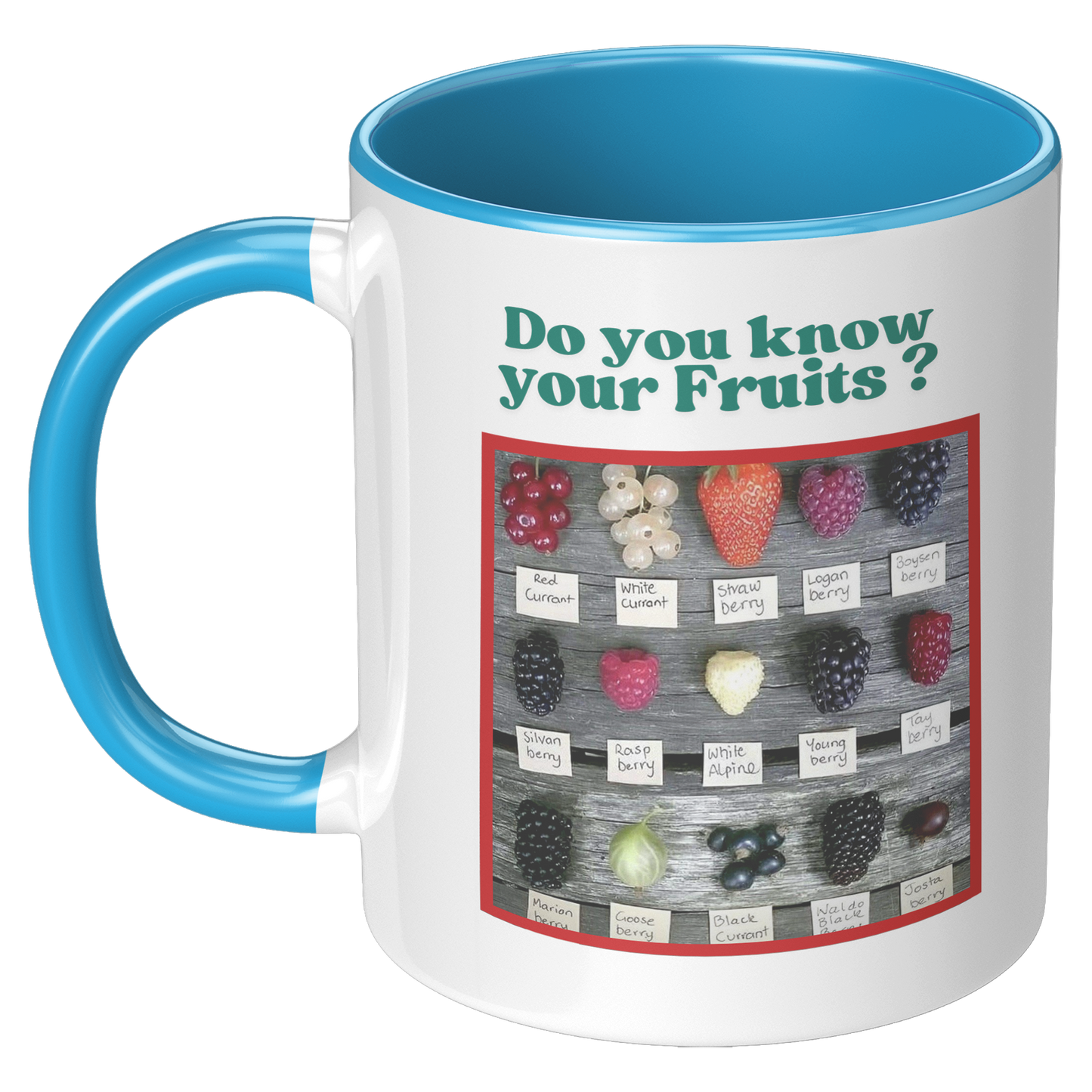 Do_you_know_your_Fruits_Mug_LH_Blue_Mockup.png