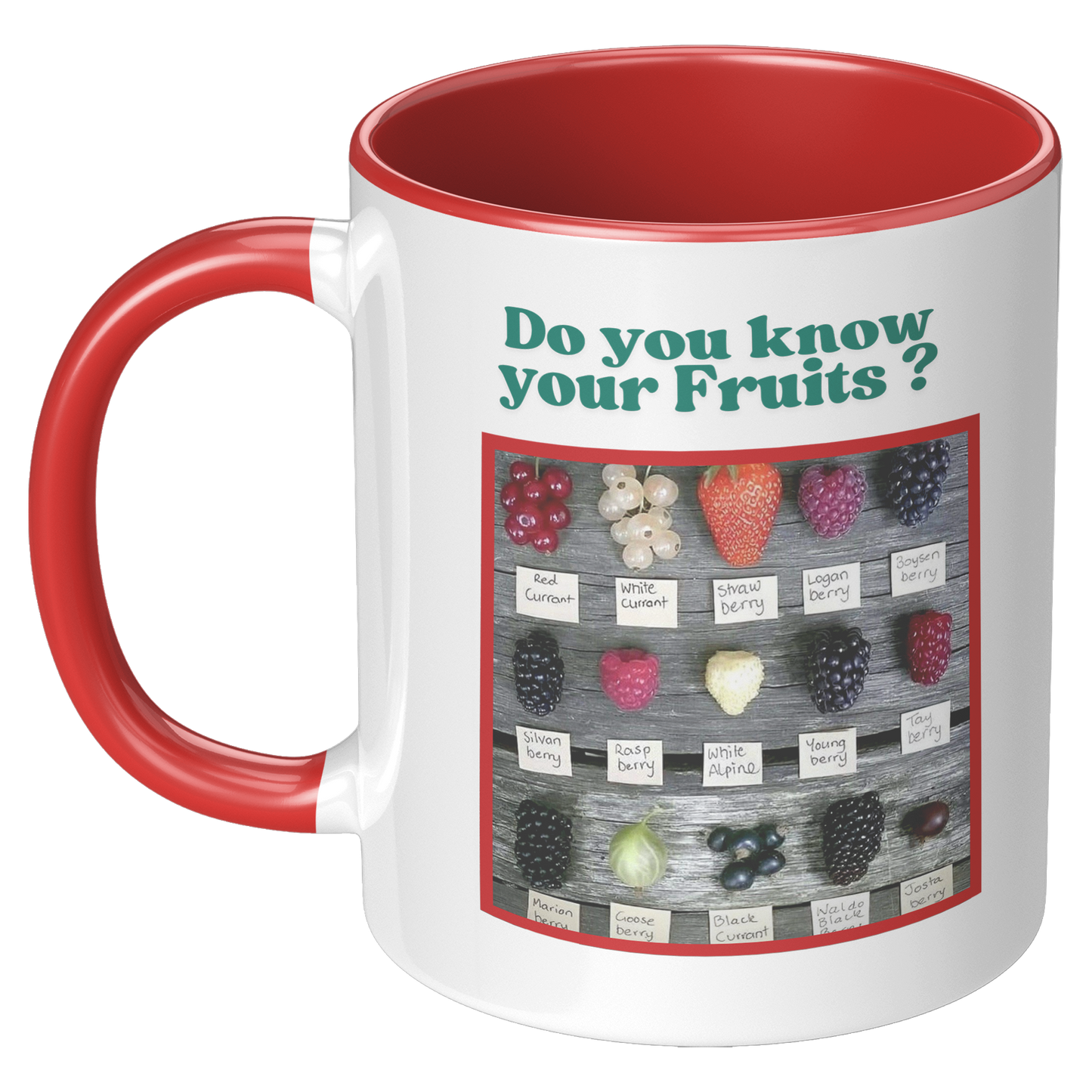 Do_you_know_your_Fruits_Mug_LH_Red_Mockup.png