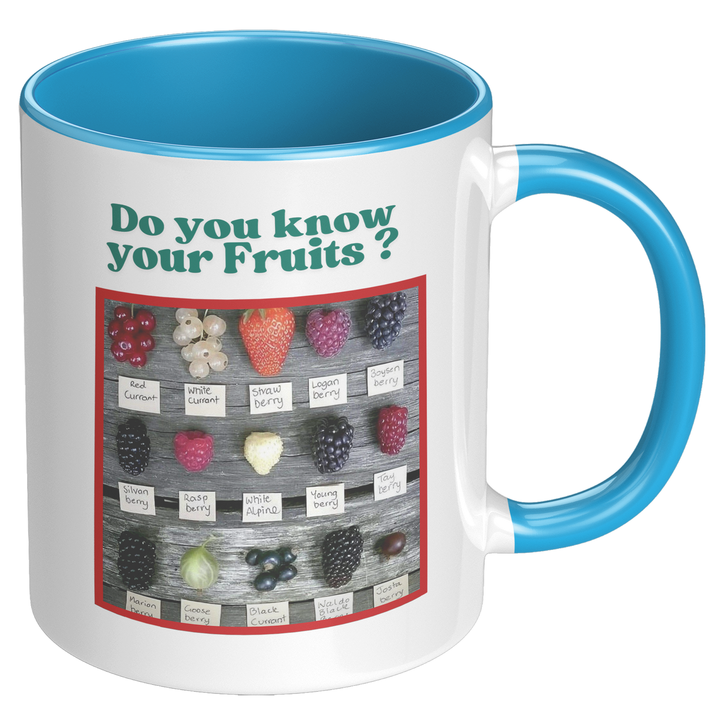 Do_you_know_your_Fruits_Mug_RH_Blue_Mockup.png