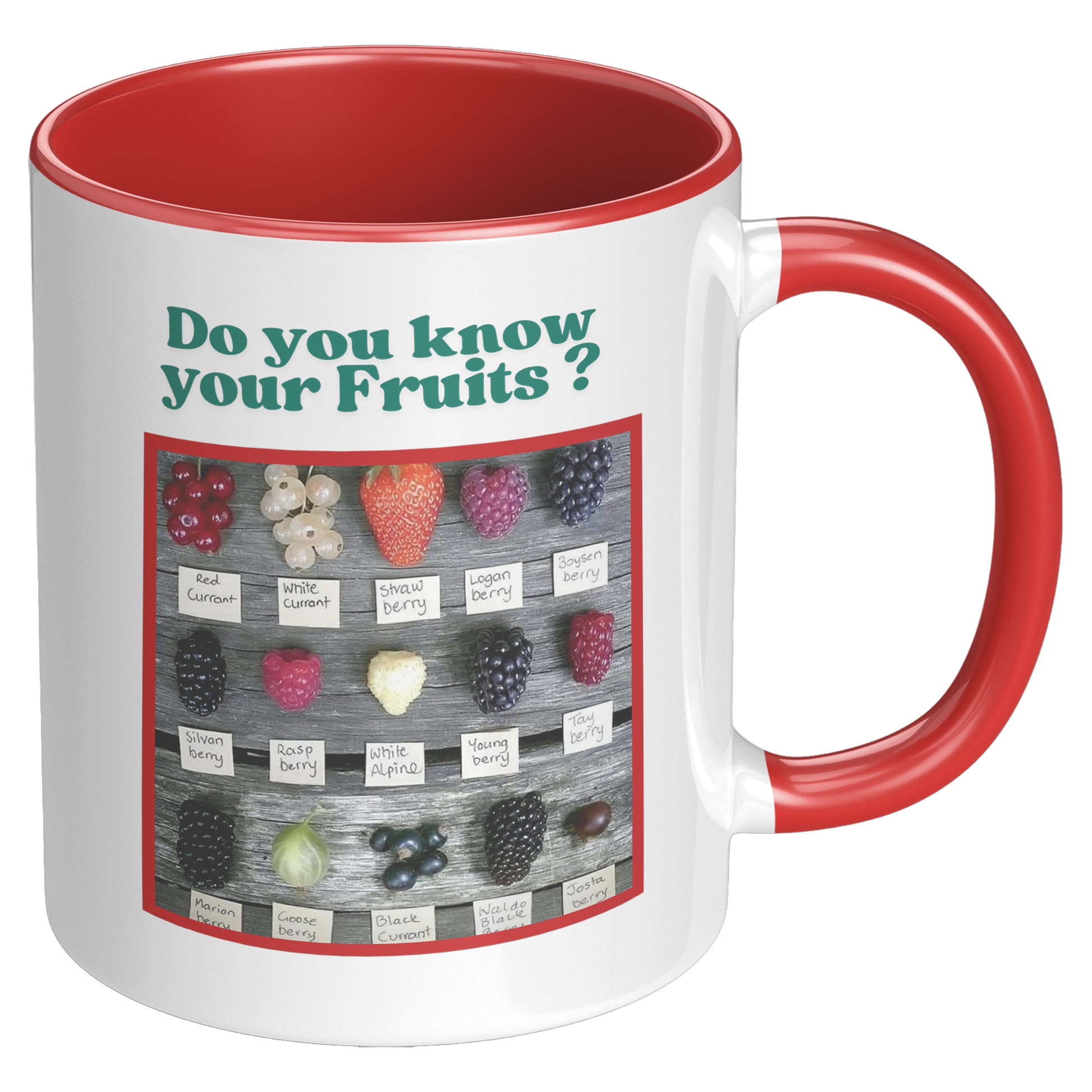 Do_you_know_your_Fruits_Mug_RH_Red_Mockup.png
